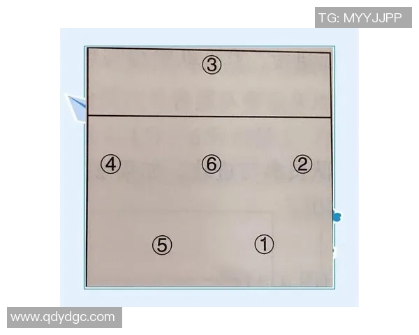 南京排球队战术解析与实战应用探讨提升竞技水平的关键因素